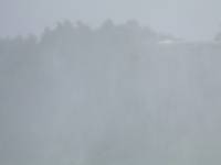 Nikita+Lenore Wedding Toronto - 200 